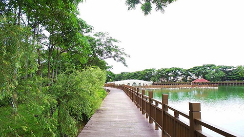 天鵝湖環保水上公園：【台南景點】天鵝湖環保水上公園~木棧道垂柳隨風搖曳❤不僅浪漫又充滿詩意❤
