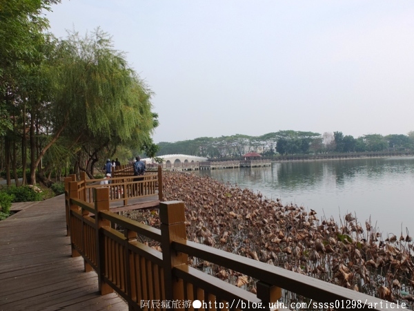 天鵝湖環保水上公園:【旅行遊記。台南新營區】天鵝湖公園。煥然一新的湖邊景緻 環保水上公園散策