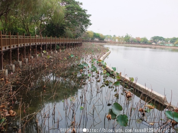 天鵝湖環保水上公園:【旅行遊記。台南新營區】天鵝湖公園。煥然一新的湖邊景緻 環保水上公園散策