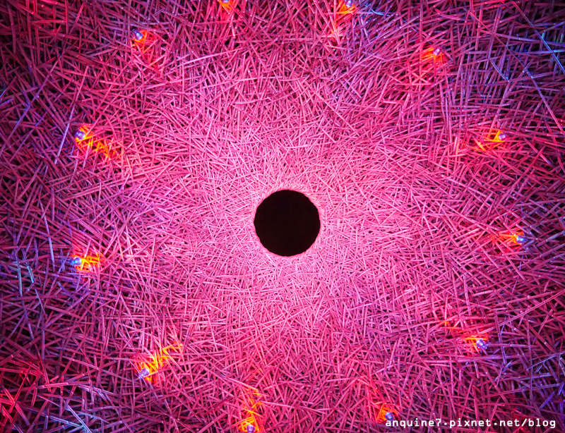 廖西瓜＠碧湖公園碧湖織屋夜晚36