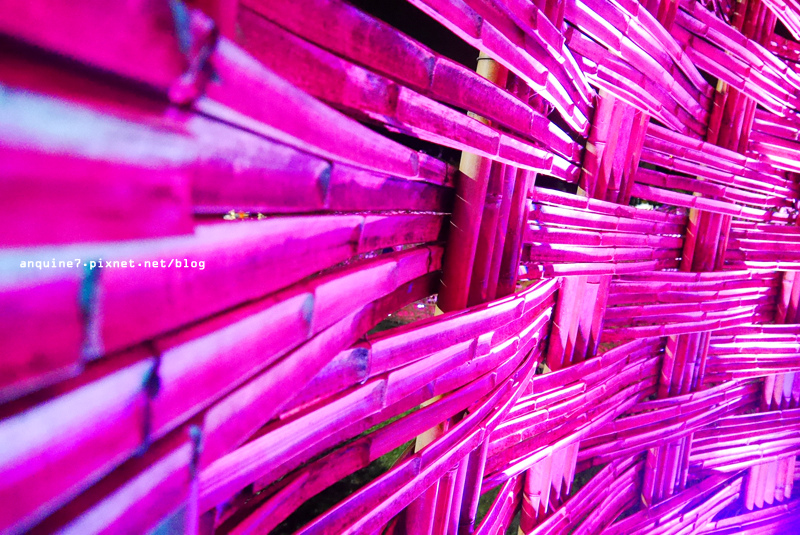 廖西瓜＠碧湖公園碧湖織屋夜晚39