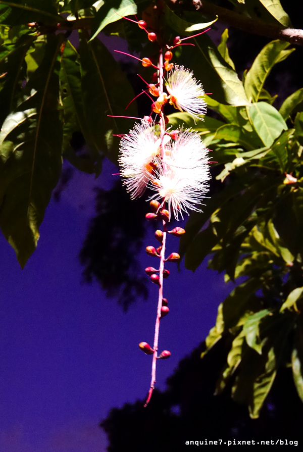 廖西瓜＠碧湖公園碧湖織屋夜晚19
