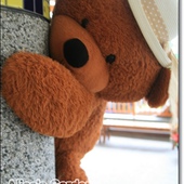 童書繪本超夢幻建築~村東國小：走進繪本裡【彰化村東國小社區閱讀中心】