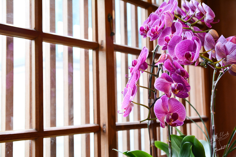 [台北西門]八拾捌茶輪番所 Rinbansyo,日式建築、台灣茶與唐和家和菓子下午茶、西本願寺廣場、捷運西門站、萬華區:Banbi217 美食旅遊