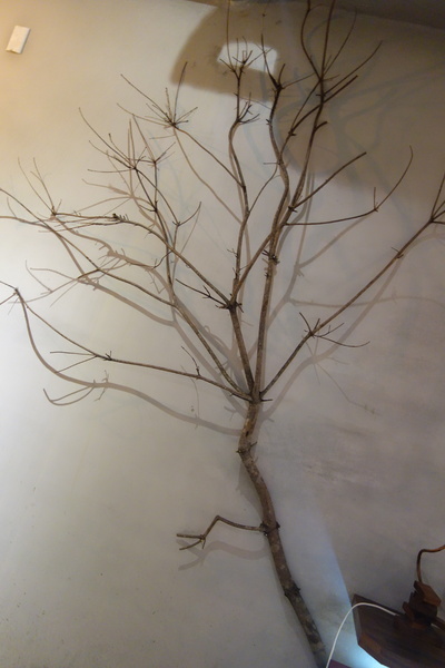 cm20150101___3a39b40c6a4acb525991f520973