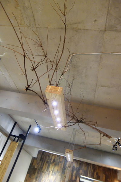 cm20150101___54f5223fec80dd0a7a24aea873c