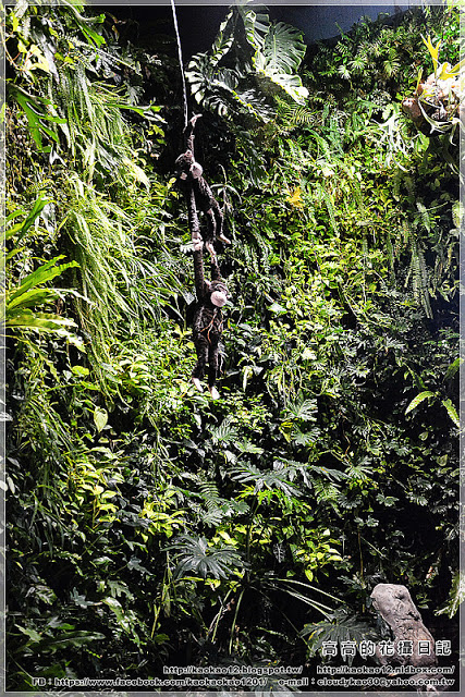 Artco.c6:【高雄】鹽埕區。典藏駁二餐廳 Artco.c6(高雄鹽埕駁二美食)