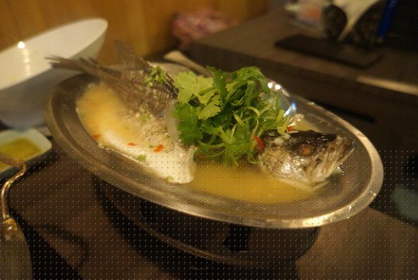 藍象廷泰鍋(慶城店):藍象廷泰鍋♥ 慶城店 ♥泰式火鍋吃到飽