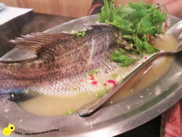 【台北】藍象廷泰鍋-泰式火鍋吃到飽