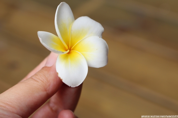 布里逗子BURRITOS：Burritos布里逗子●漢堡庭園餐廳♡溫莎乳酪牛肉堡讓人驚豔~103.06.29