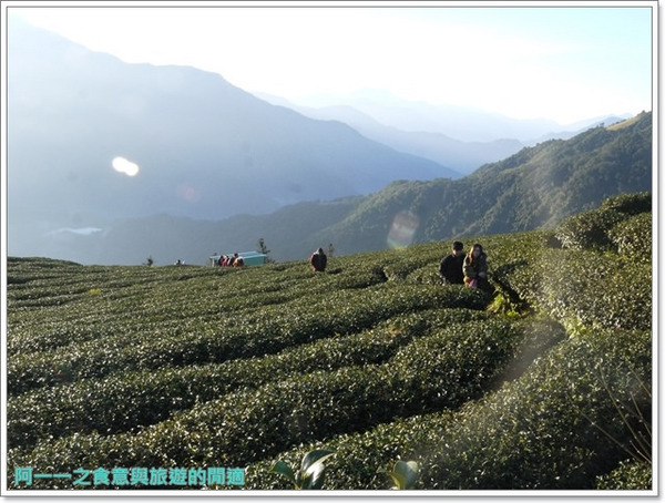 武界曲冰:南投武界部落 茶園雲海日出&鐘乳石~探尋秘境