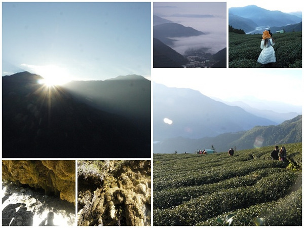 武界曲冰:南投武界部落 茶園雲海日出&鐘乳石~探尋秘境