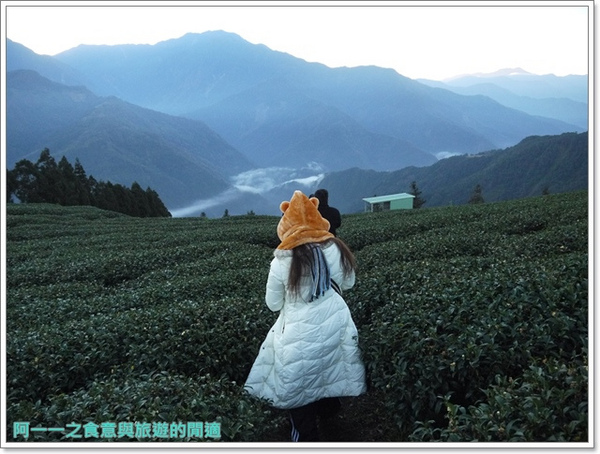 武界曲冰:南投武界部落 茶園雲海日出&鐘乳石~探尋秘境