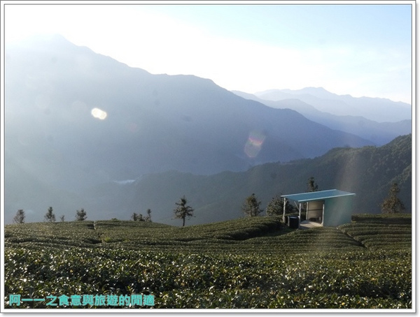 武界曲冰:南投武界部落 茶園雲海日出&鐘乳石~探尋秘境