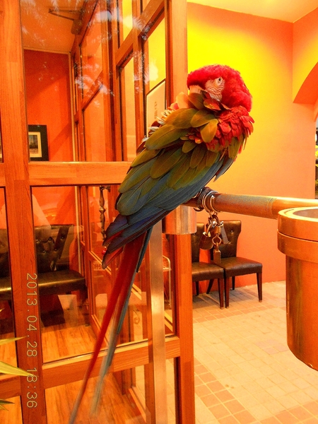 La Vaca黑牛阿根廷烤肉餐酒館：LA  VACA阿根廷烤肉餐廳2-同盟二路81號(愛河之心旁)