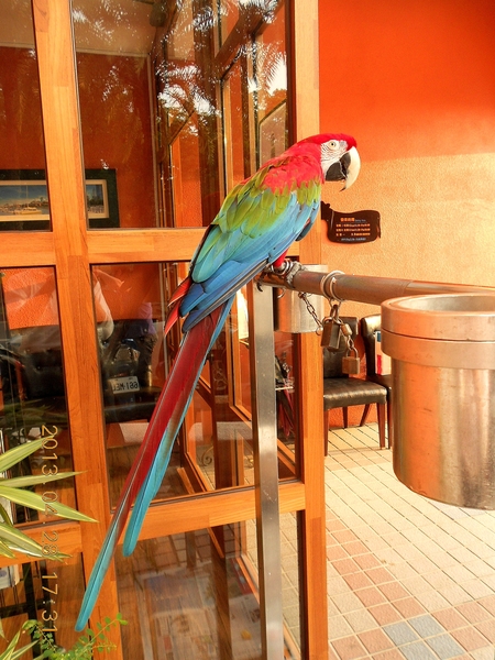 La Vaca黑牛阿根廷烤肉餐酒館:LA VACA阿根廷烤肉餐廳-同盟二路81號(愛河之心旁)