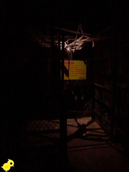 【桃園 中壢】king house鬼屋-刑事命案、鬼屋解謎