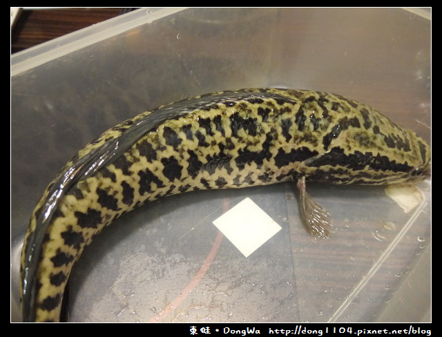 【台北食記】雲之南麗江斑魚火鍋。四川酸菜魚火鍋