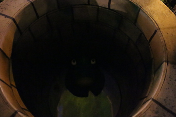 新北市兒童藝術節之童話城堡(新北市府廣場)：媽呀~~我來到大人國了「新北市兒童藝術節」之童話城堡