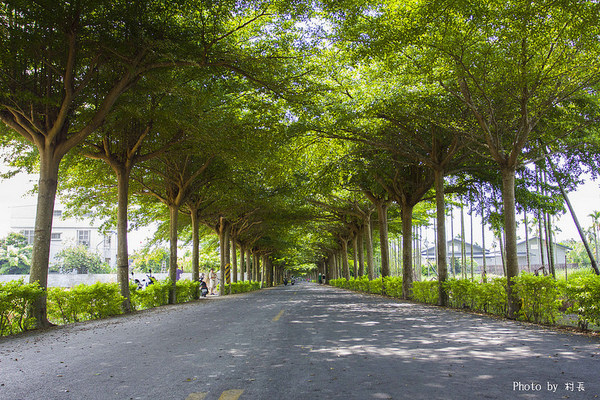 林後四林平地森林園區：【遊記】｛屏東。潮州鎮｝林後四林平地森林園區