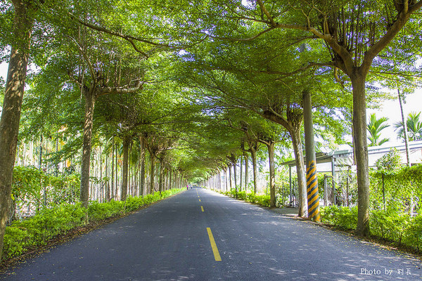 林後四林平地森林園區：【遊記】｛屏東。潮州鎮｝林後四林平地森林園區