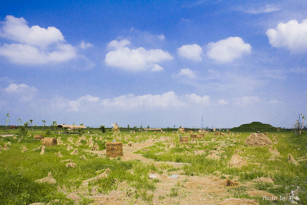 林後四林平地森林園區：【遊記】｛屏東。潮州鎮｝林後四林平地森林園區