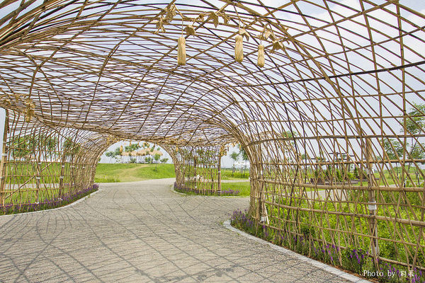 林後四林平地森林園區：【遊記】｛屏東。潮州鎮｝林後四林平地森林園區