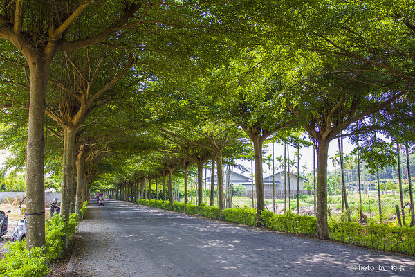 林後四林平地森林園區：【遊記】｛屏東。潮州鎮｝林後四林平地森林園區