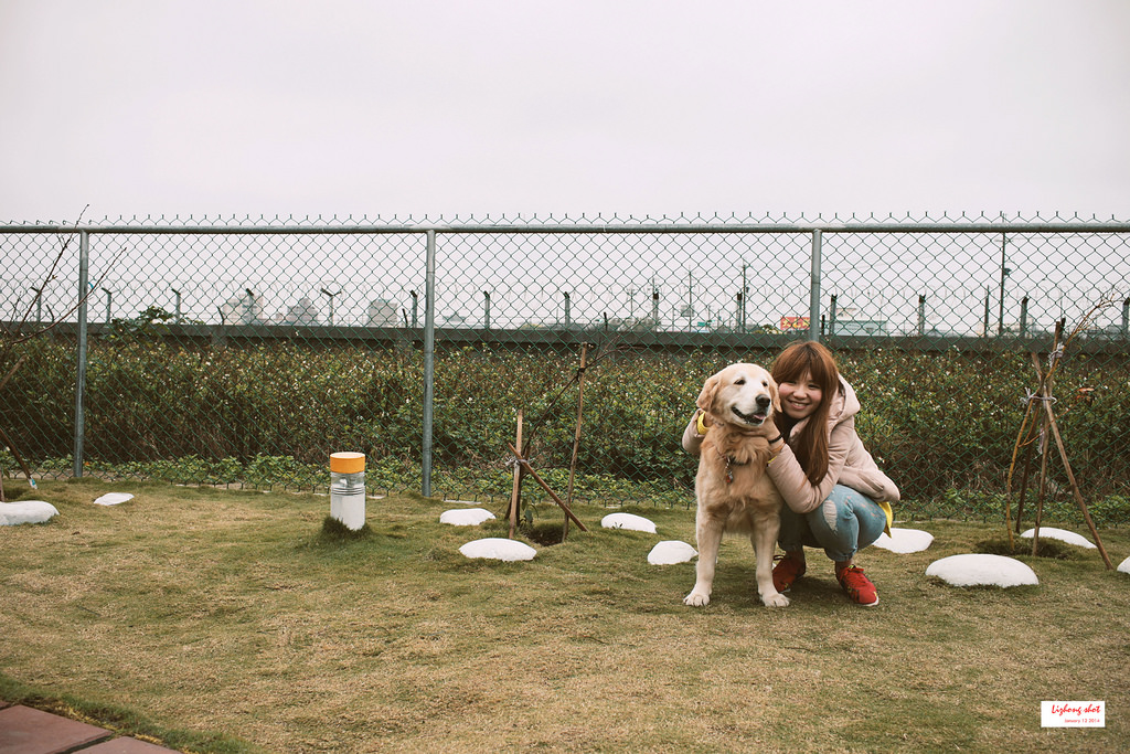 小狗的第三航廈咖啡野放