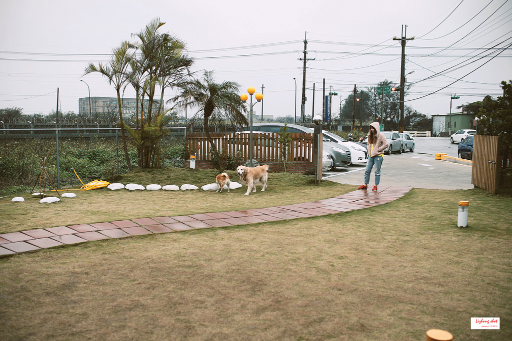 小狗的第三航廈咖啡野放