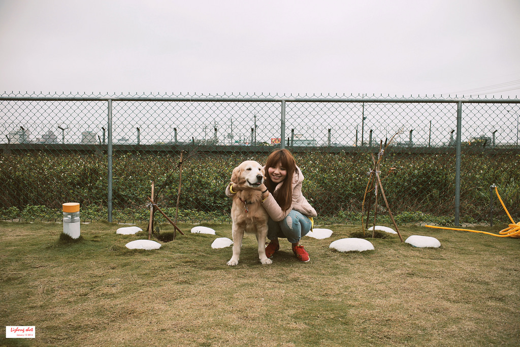 小狗的第三航廈咖啡野放