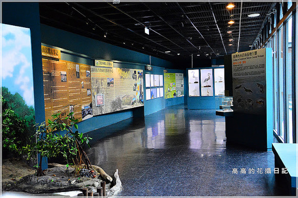 黑面琵鷺賞鳥亭：【臺南】七股區。黑面琵鷺生態展示館．黑面琵鷺賞鳥亭