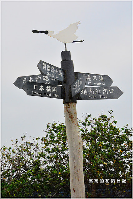 黑面琵鷺賞鳥亭：【臺南】七股區。黑面琵鷺生態展示館．黑面琵鷺賞鳥亭