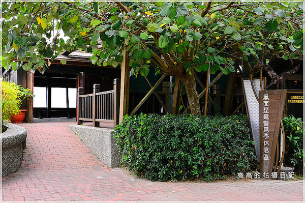 黑面琵鷺賞鳥亭：【臺南】七股區。黑面琵鷺生態展示館．黑面琵鷺賞鳥亭