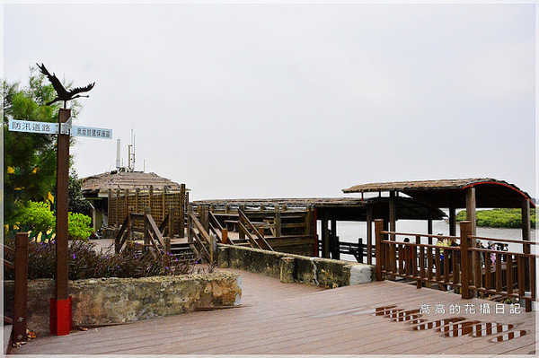 黑面琵鷺賞鳥亭：【臺南】七股區。黑面琵鷺生態展示館．黑面琵鷺賞鳥亭