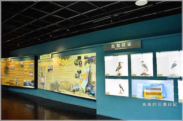 黑面琵鷺賞鳥亭：【臺南】七股區。黑面琵鷺生態展示館．黑面琵鷺賞鳥亭