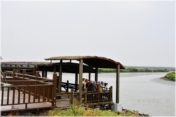 黑面琵鷺賞鳥亭：【臺南】七股區。黑面琵鷺生態展示館．黑面琵鷺賞鳥亭