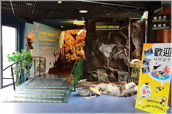 黑面琵鷺賞鳥亭：【臺南】七股區。黑面琵鷺生態展示館．黑面琵鷺賞鳥亭