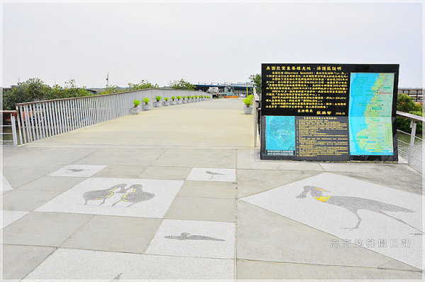 黑面琵鷺賞鳥亭：【臺南】七股區。黑面琵鷺生態展示館．黑面琵鷺賞鳥亭