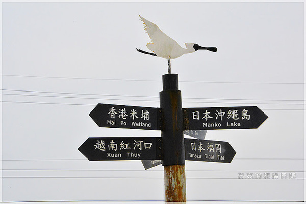 黑面琵鷺賞鳥亭：【臺南】七股區。黑面琵鷺生態展示館．黑面琵鷺賞鳥亭