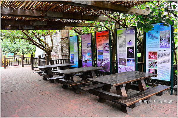 黑面琵鷺賞鳥亭：【臺南】七股區。黑面琵鷺生態展示館．黑面琵鷺賞鳥亭