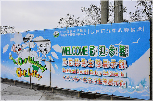 黑面琵鷺賞鳥亭：【臺南】七股區。黑面琵鷺生態展示館．黑面琵鷺賞鳥亭