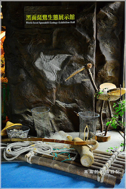 黑面琵鷺賞鳥亭：【臺南】七股區。黑面琵鷺生態展示館．黑面琵鷺賞鳥亭