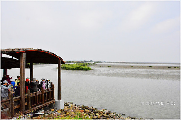 黑面琵鷺賞鳥亭：【臺南】七股區。黑面琵鷺生態展示館．黑面琵鷺賞鳥亭