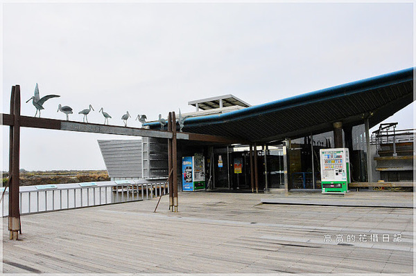 黑面琵鷺賞鳥亭：【臺南】七股區。黑面琵鷺生態展示館．黑面琵鷺賞鳥亭