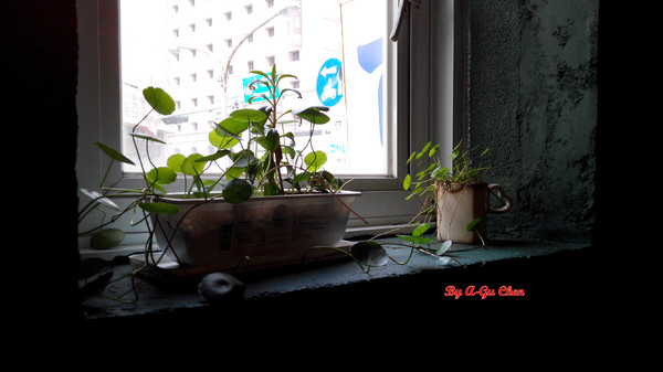 卡加米亞咖啡：【臺南Ω中西區】卡加米亞咖啡。在怎麼拍都很文青的老屋中享用美味早午餐與手作甜點