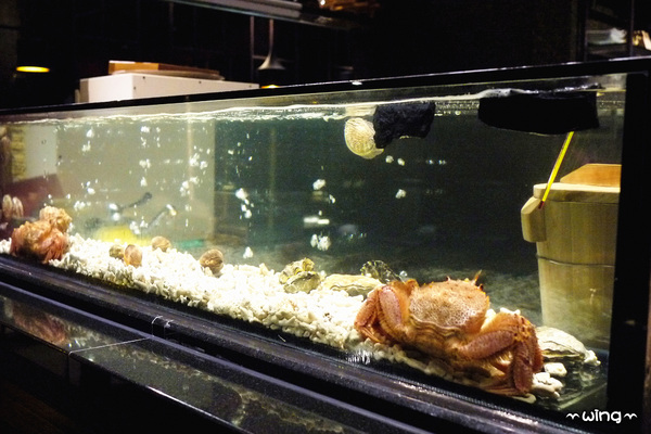 旬壽司割烹：［台北士林］無菜單料理。【旬壽司割烹】新鮮。精緻。美味日式料理體驗(天母.芝山捷運站美食)