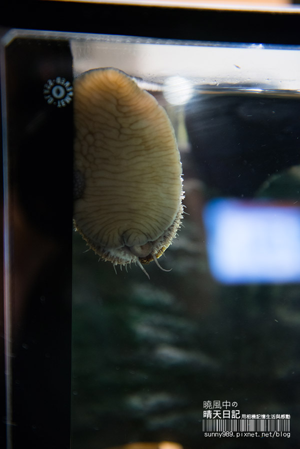 旬壽司割烹：【口碑券| 旬壽司割烹】無菜單料理 次次都有新驚喜