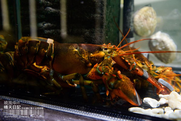 旬壽司割烹：【口碑券| 旬壽司割烹】無菜單料理 次次都有新驚喜