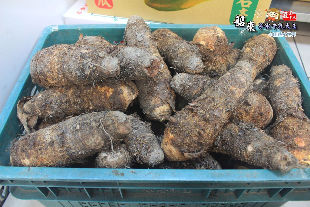 船來芋冰牛乳大王 028.jpg